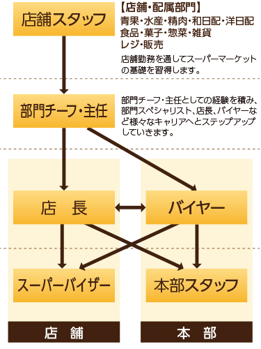 キャリアアップの図